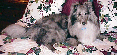 Relaxing on our bed...